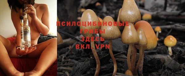 альфа пвп Лабытнанги