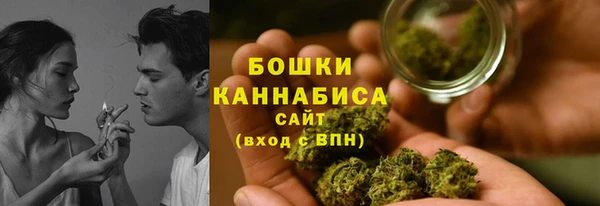 винт Богданович