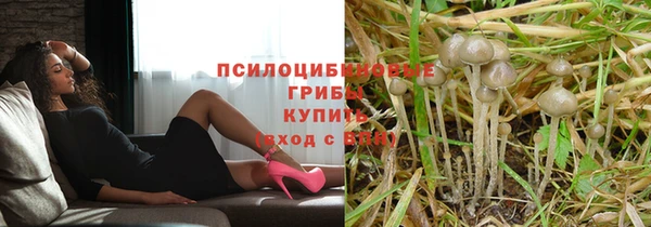 не бодяженный Богородицк