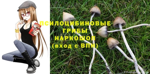 не бодяженный Богородицк