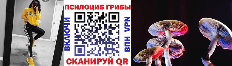 Галлюциногенные грибы Cubensis  купить наркоту  Борисоглебск 
